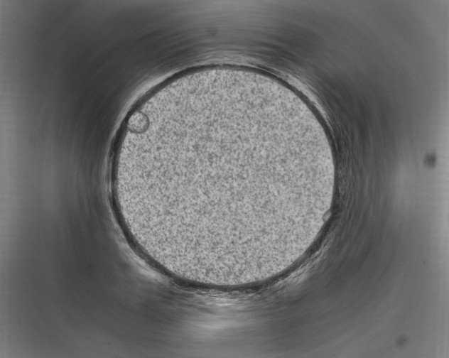 X0000116780987201001281211