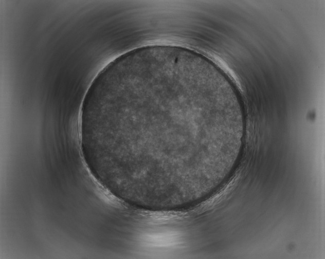 X0000116780988201001281211