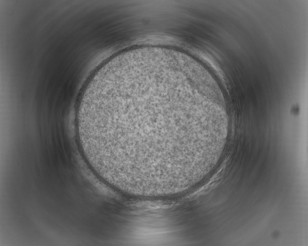 X0000116780990201001281211