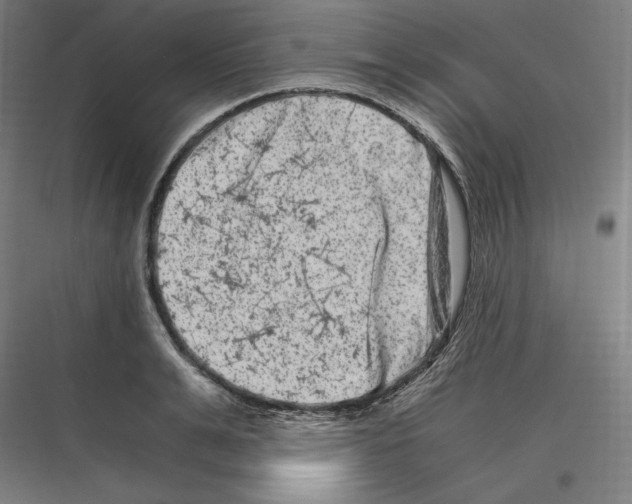 X0000116780991201001281211