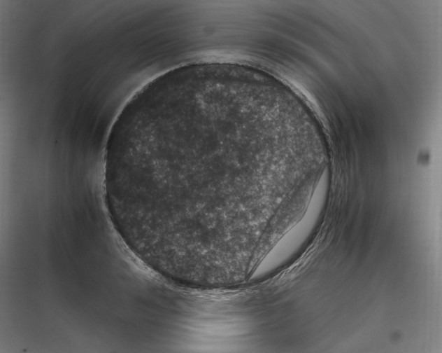 X0000116780992201001281211