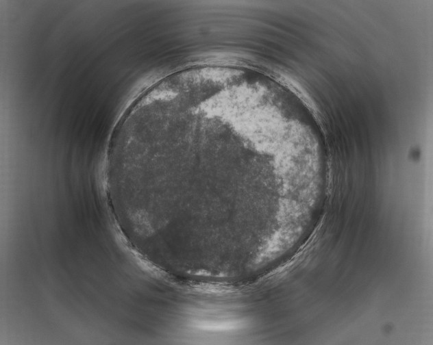 X0000116780994201001281211