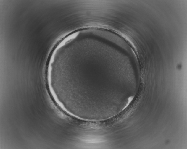 X0000116780995201001281210