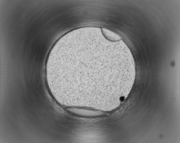 X0000116780996201001281210