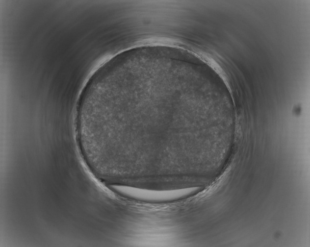 X0000116780997201001281210