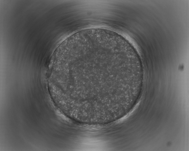 X0000116781001201001281210