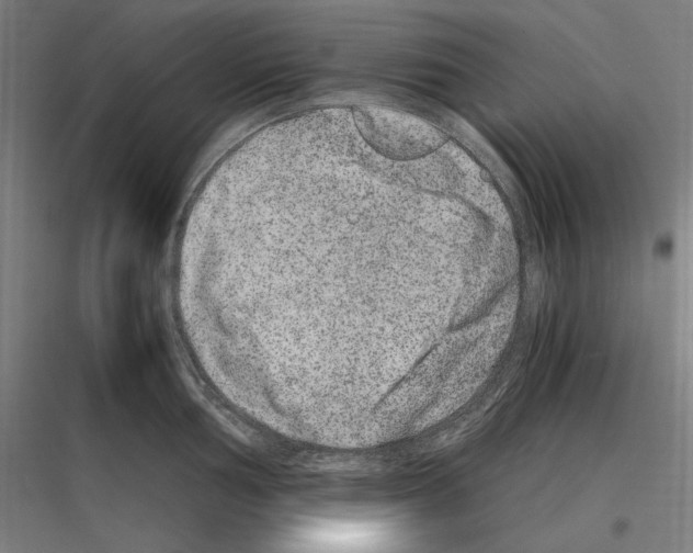 X0000116781002201001281210