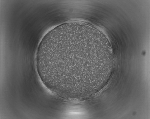 X0000116781003201001281210