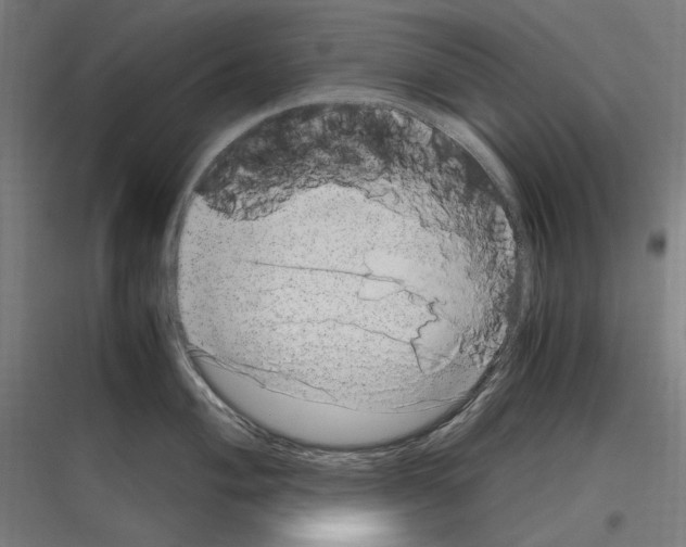 X0000116781004201001281210