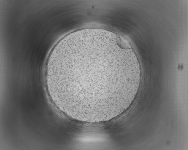 X0000116781008201001281210