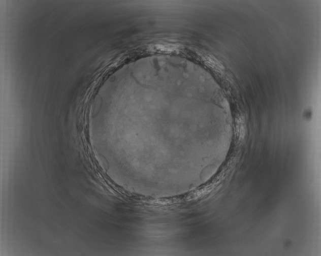 X0000116781009201001281210