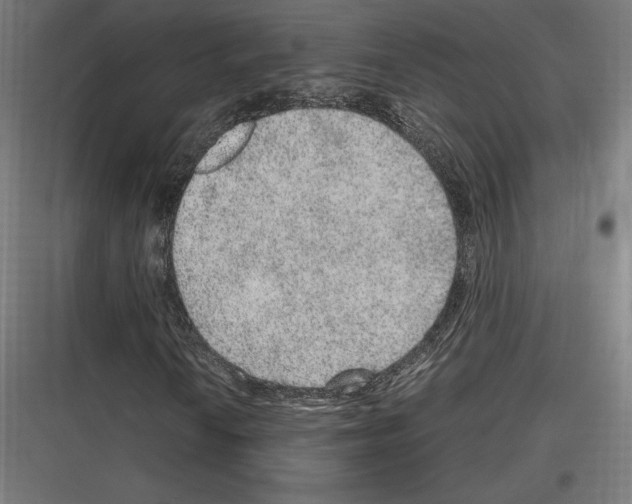 X0000116781010201001281210