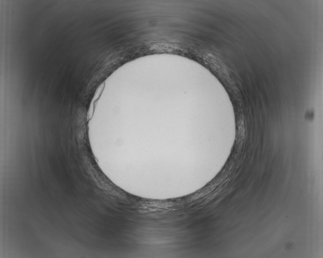 X0000116781012201001281210