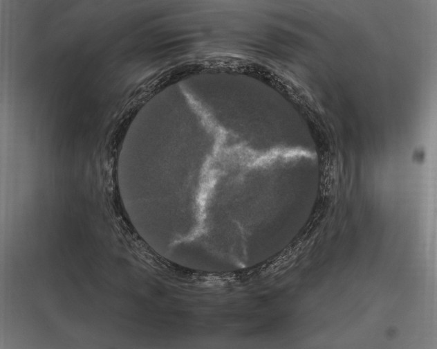 X0000116781013201001281210