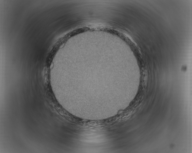 X0000116781016201001281210