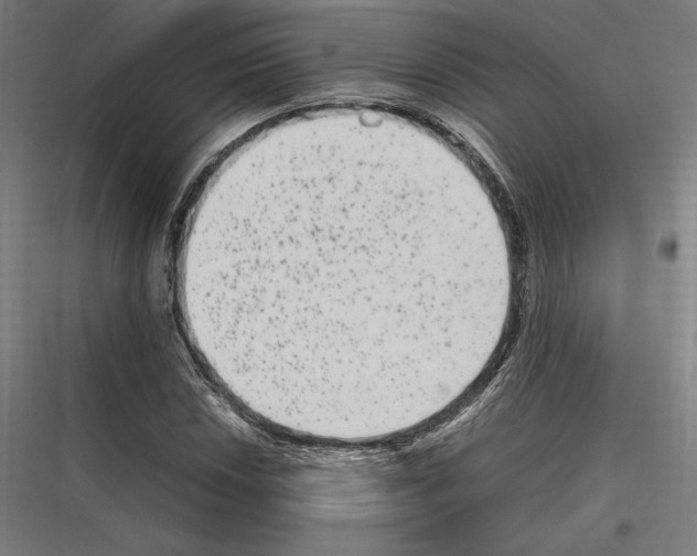 X0000116781018201001281210