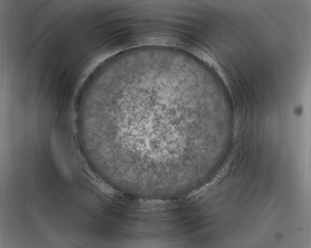 X0000116781019201001281210