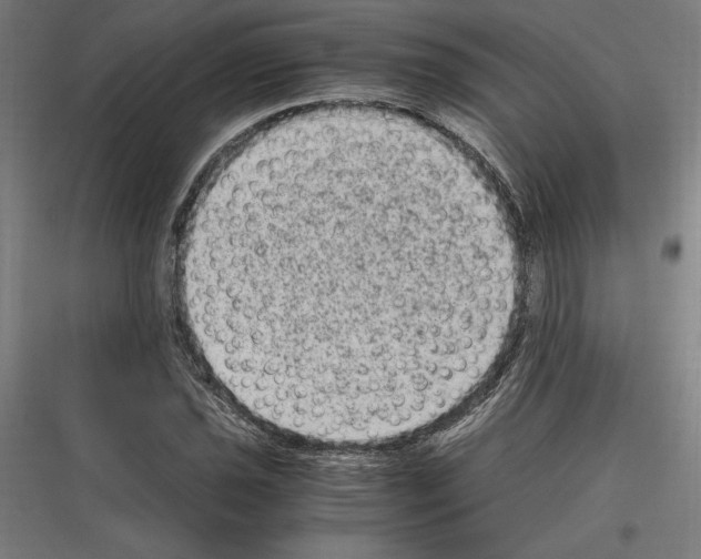 X0000116781021201001281210