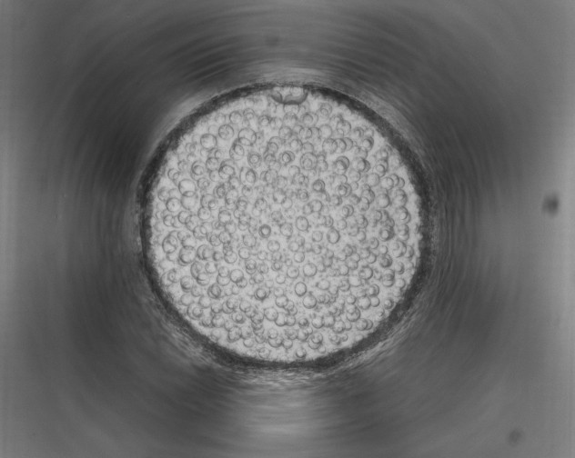 X0000116781022201001281210