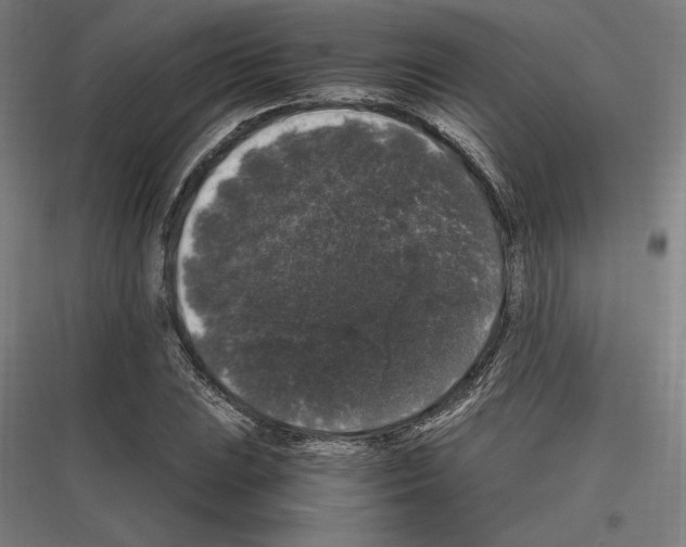 X0000116781023201001281210