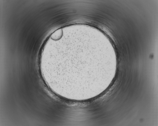 X0000116781026201001281210