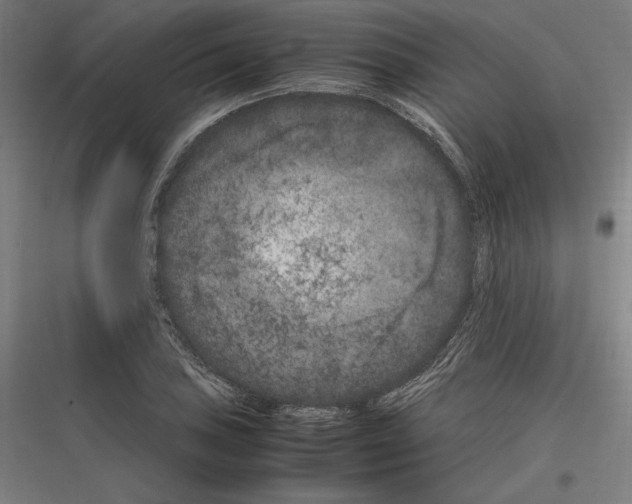 X0000116781027201001281210