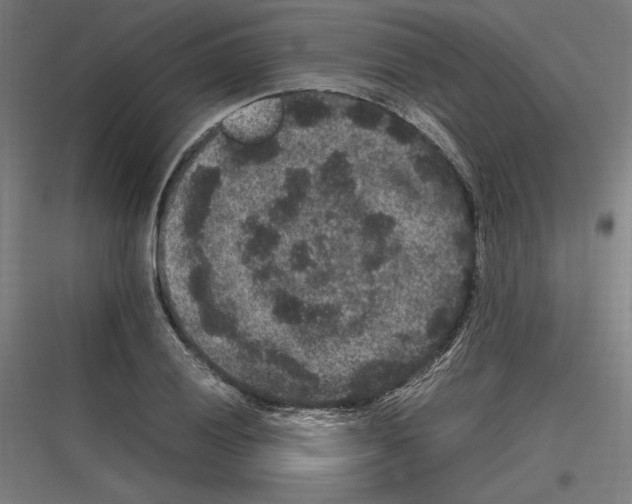 X0000116781028201001281210