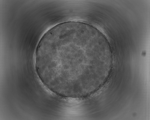 X0000116781032201001281210