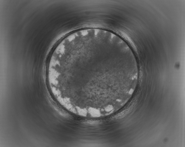 X0000116781035201001281210