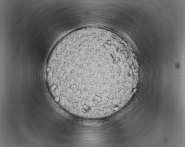 X0000116781036201001281210