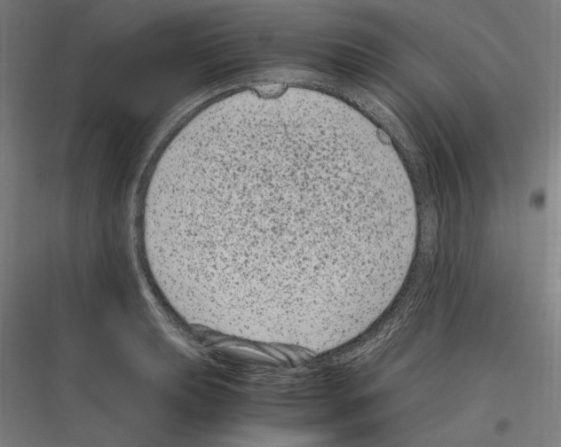 X0000116781039201001281210