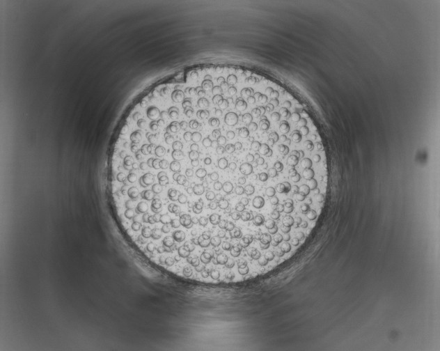 X0000116781040201001281210