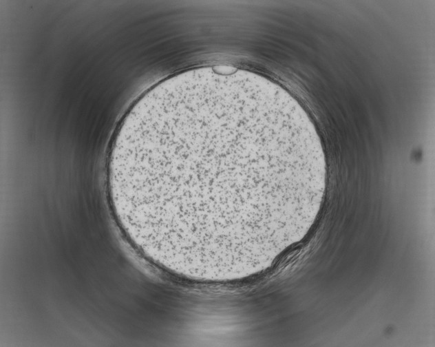 X0000116781042201001281210