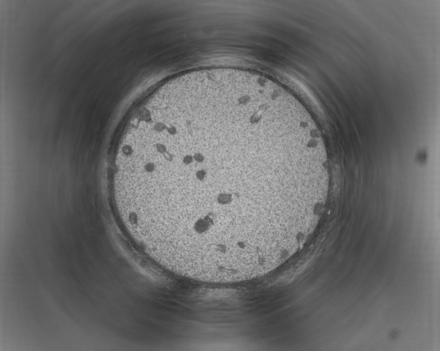 X0000116781043201001281210