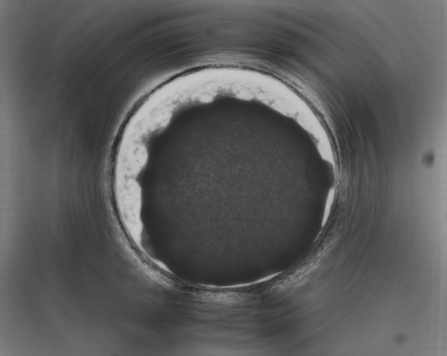 X0000116781045201001281210