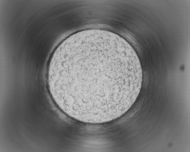 X0000116781046201001281210