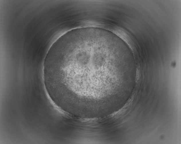 X0000116781047201001281210