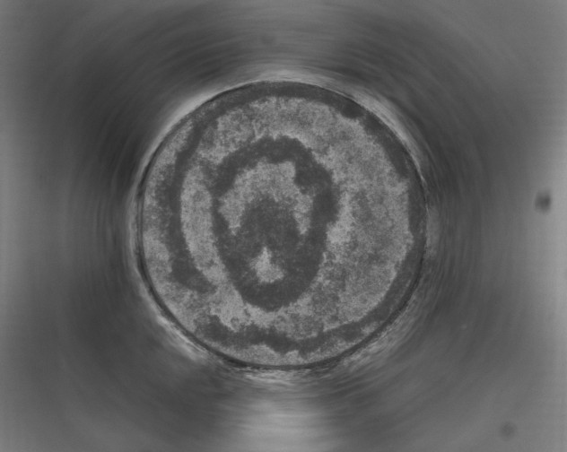 X0000116781048201001281210