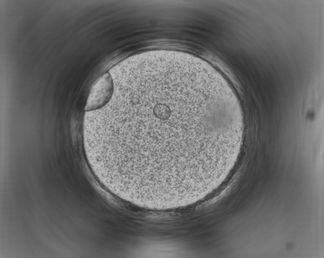 X0000116781049201001281210