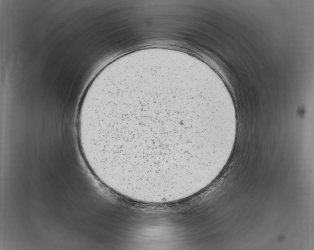 X0000116781050201001281210