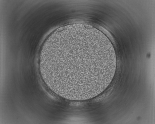 X0000116781051201001281210