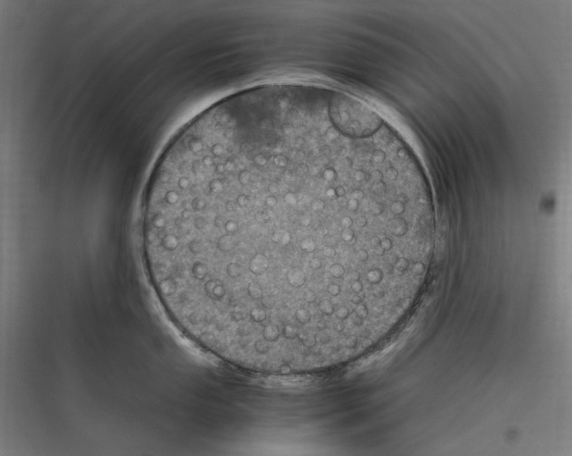 X0000116781053201001281210