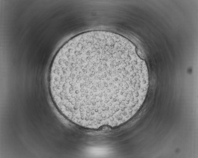 X0000116781054201001281210