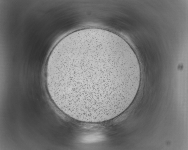 X0000116781056201001281210