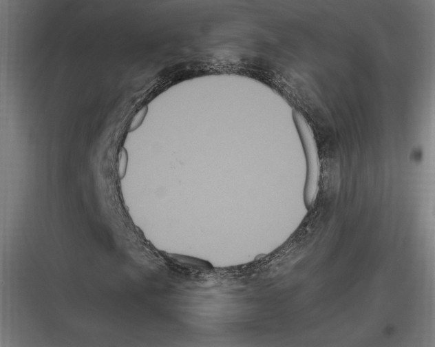 X0000116781057201001281210