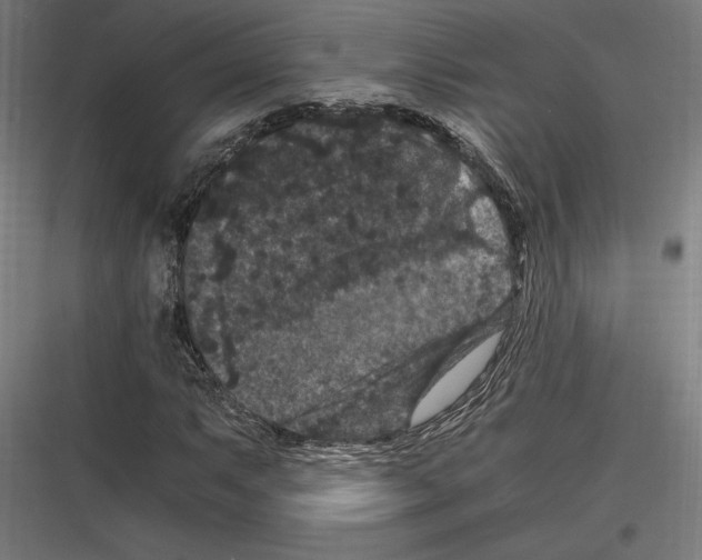 X0000116781063201001281210