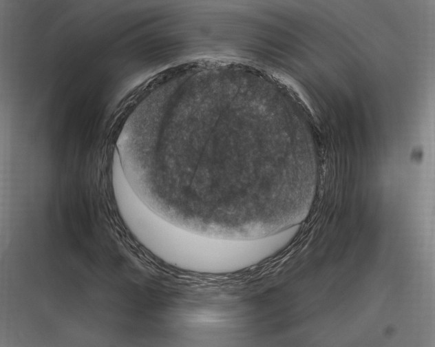 X0000116781064201001281210