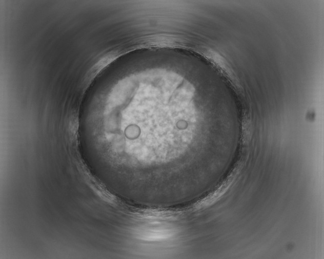 X0000116781065201001281210