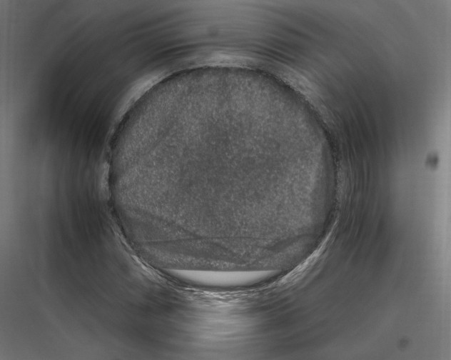 X0000116781066201001281210