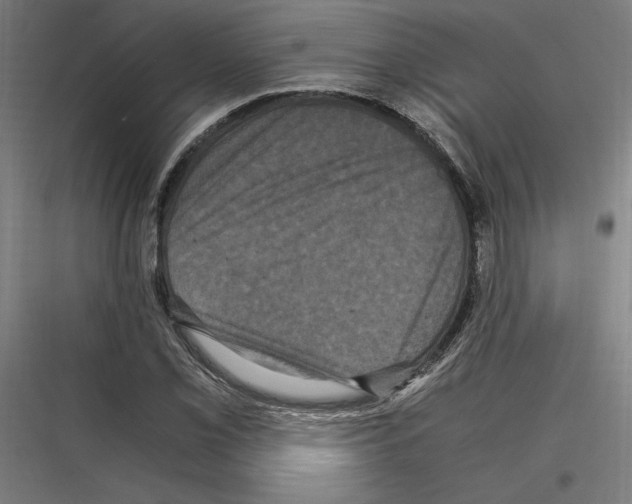 X0000116781069201001281209